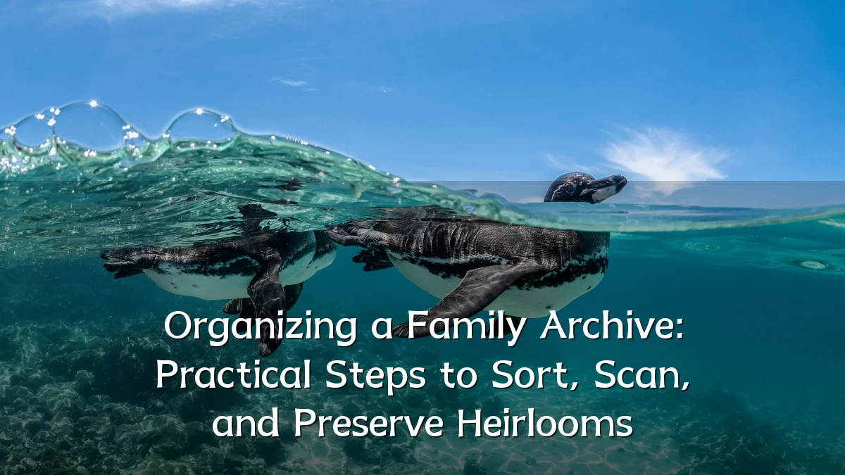 Organizing a Family Archive: Practical Steps to Sort, Scan, and Preserve Heirlooms