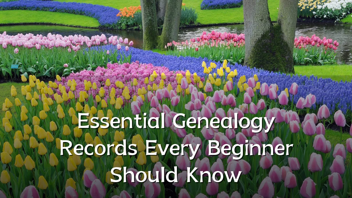 Essential Genealogy Records Every Beginner Should Know