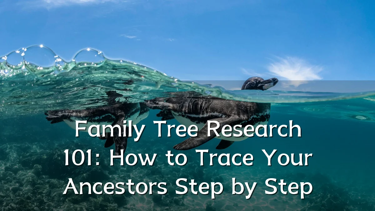 Family Tree Research 101: How to Trace Your Ancestors Step by Step