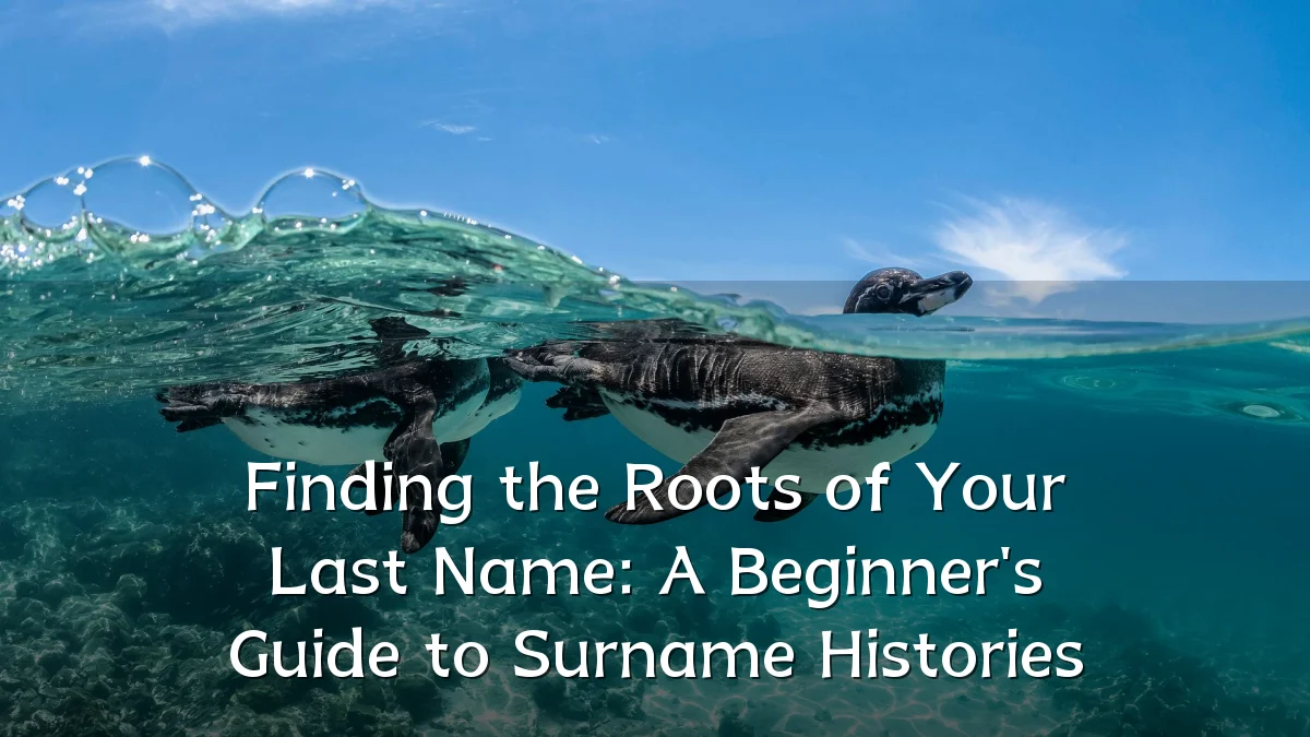 Finding the Roots of Your Last Name: A Beginner's Guide to Surname Histories