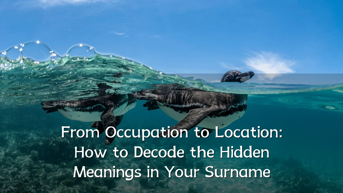 From Occupation to Location: How to Decode the Hidden Meanings in Your Surname