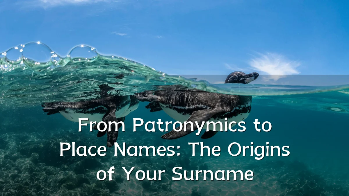 From Patronymics to Place Names: The Origins of Your Surname