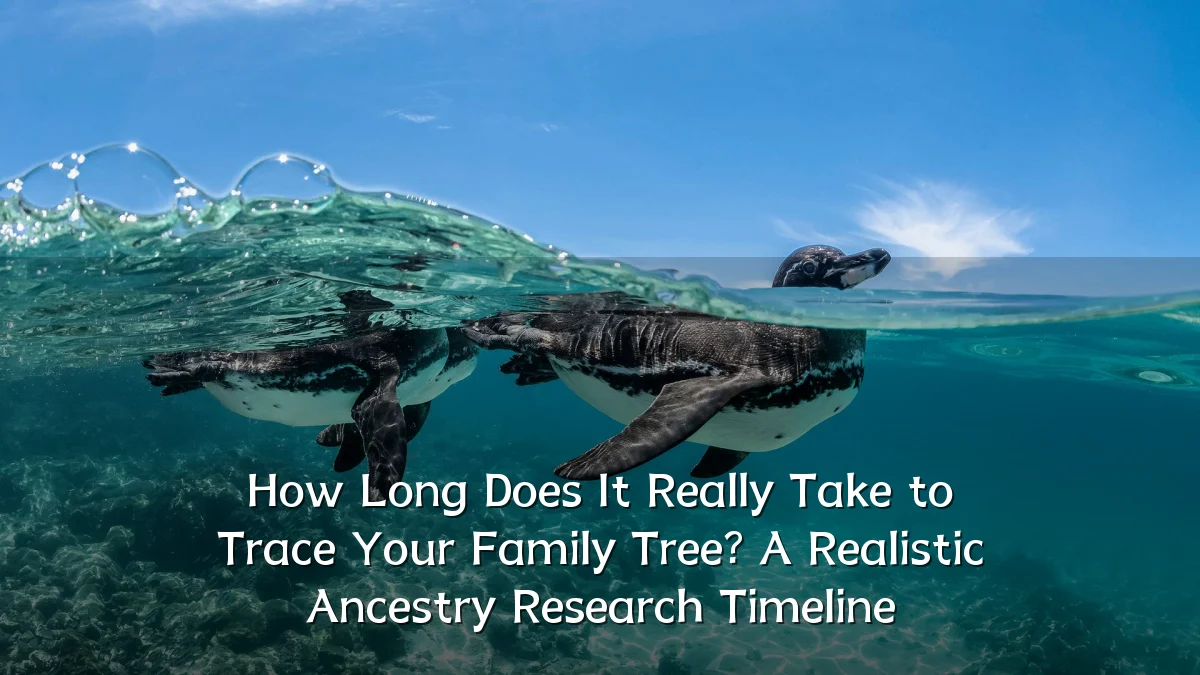 How Long Does It Really Take to Trace Your Family Tree? A Realistic Ancestry Research Timeline