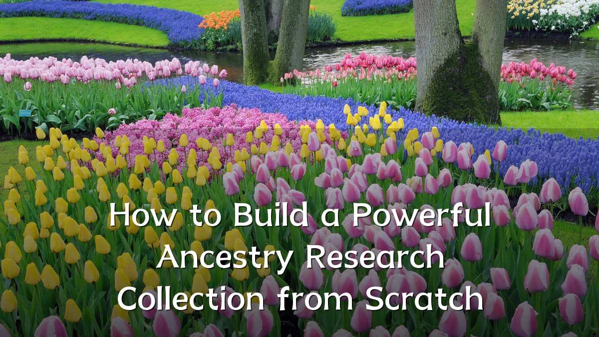 How to Build a Powerful Ancestry Research Collection from Scratch