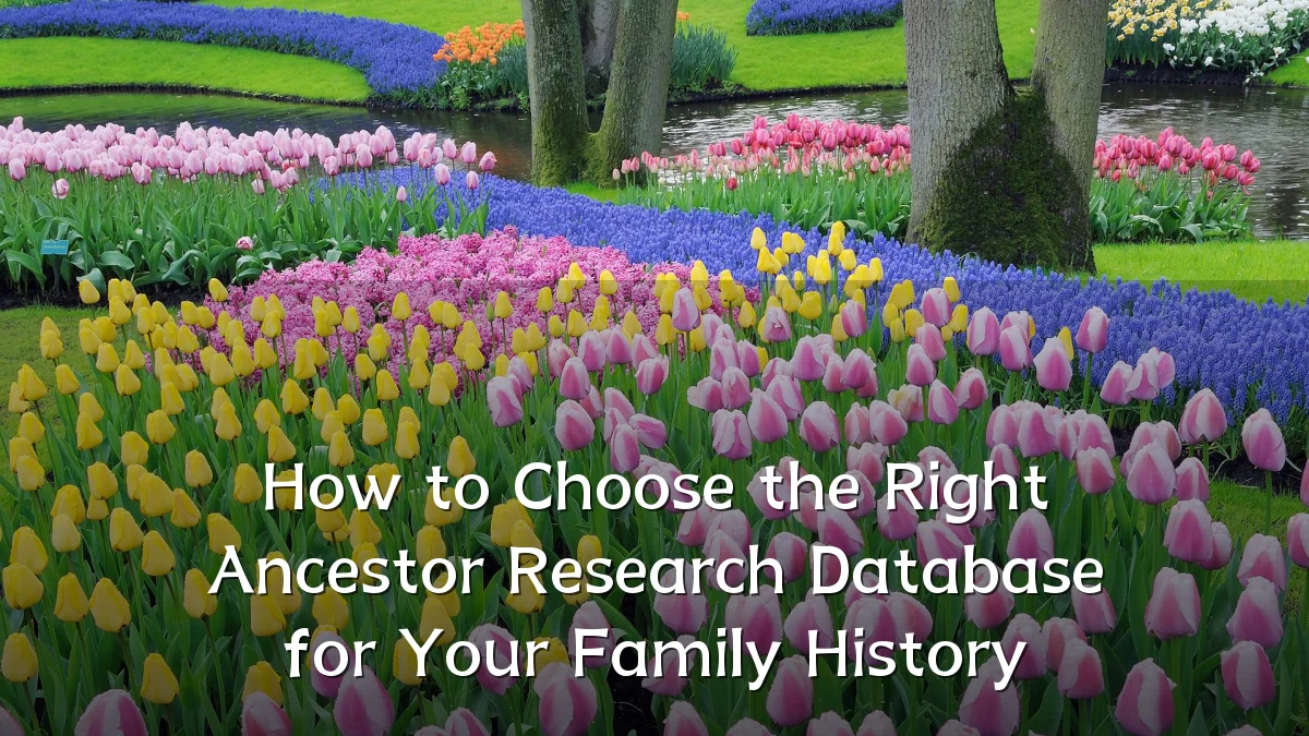 How to Choose the Right Ancestor Research Database for Your Family History