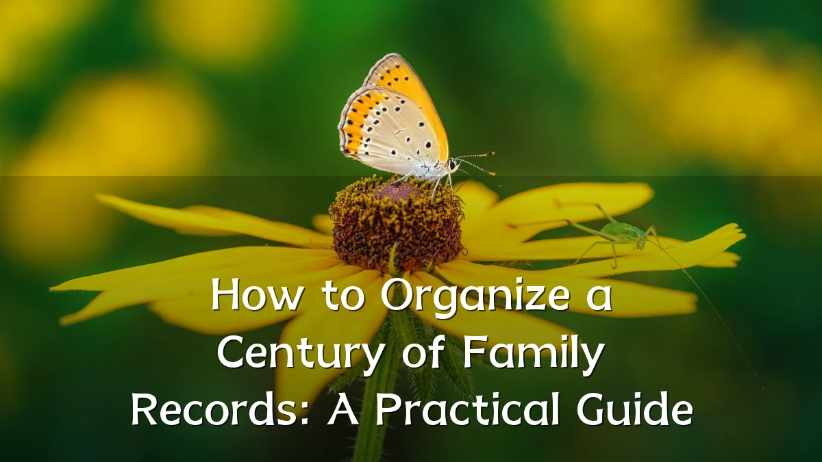 How to Organize a Century of Family Records: A Practical Guide