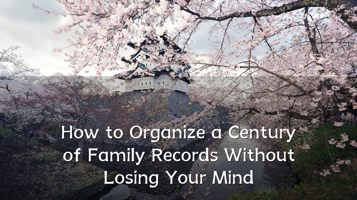 How to Organize a Century of Family Records Without Losing Your Mind