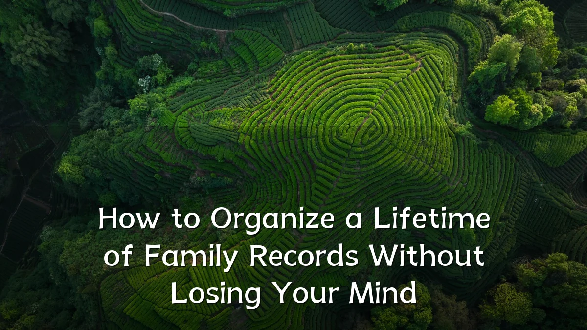 How to Organize a Lifetime of Family Records Without Losing Your Mind