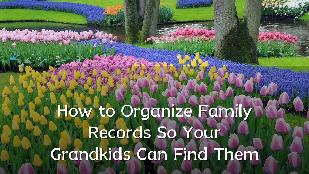 How to Organize Family Records So Your Grandkids Can Find Them