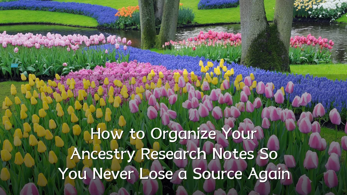 How to Organize Your Ancestry Research Notes So You Never Lose a Source Again