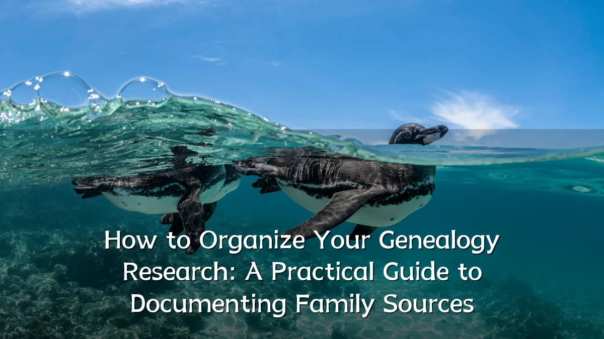 How to Organize Your Genealogy Research: A Practical Guide to Documenting Family Sources
