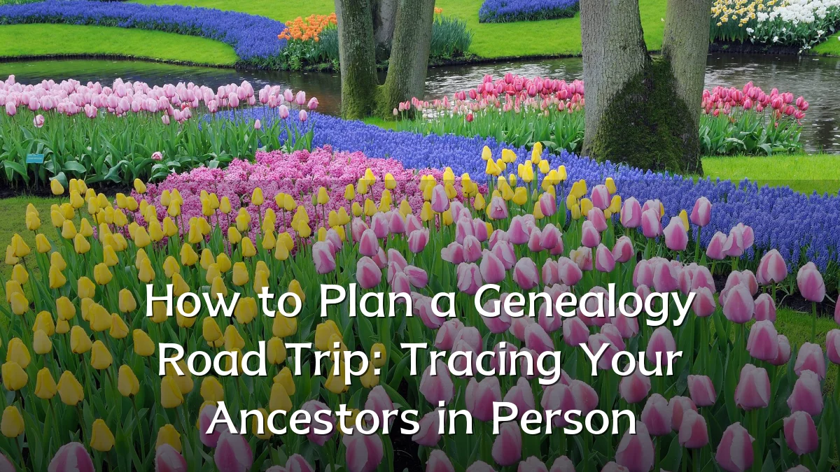 How to Plan a Genealogy Road Trip: Tracing Your Ancestors in Person