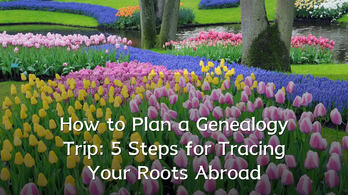 How to Plan a Genealogy Trip: 5 Steps for Tracing Your Roots Abroad
