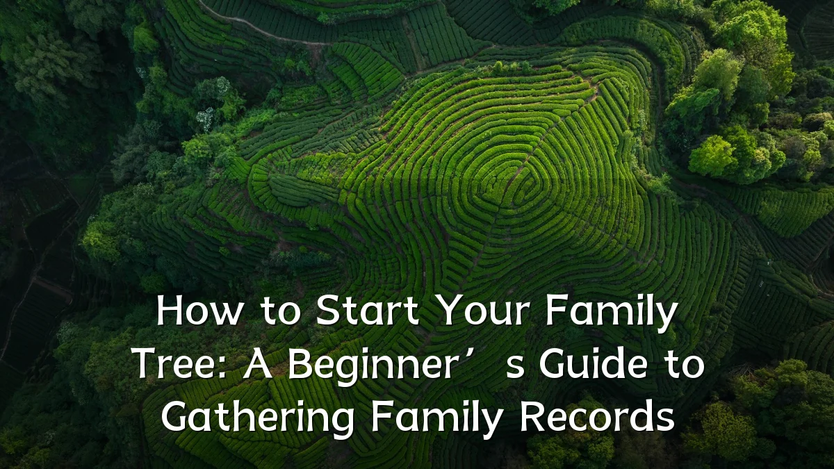 How to Start Your Family Tree: A Beginner’s Guide to Gathering Family Records