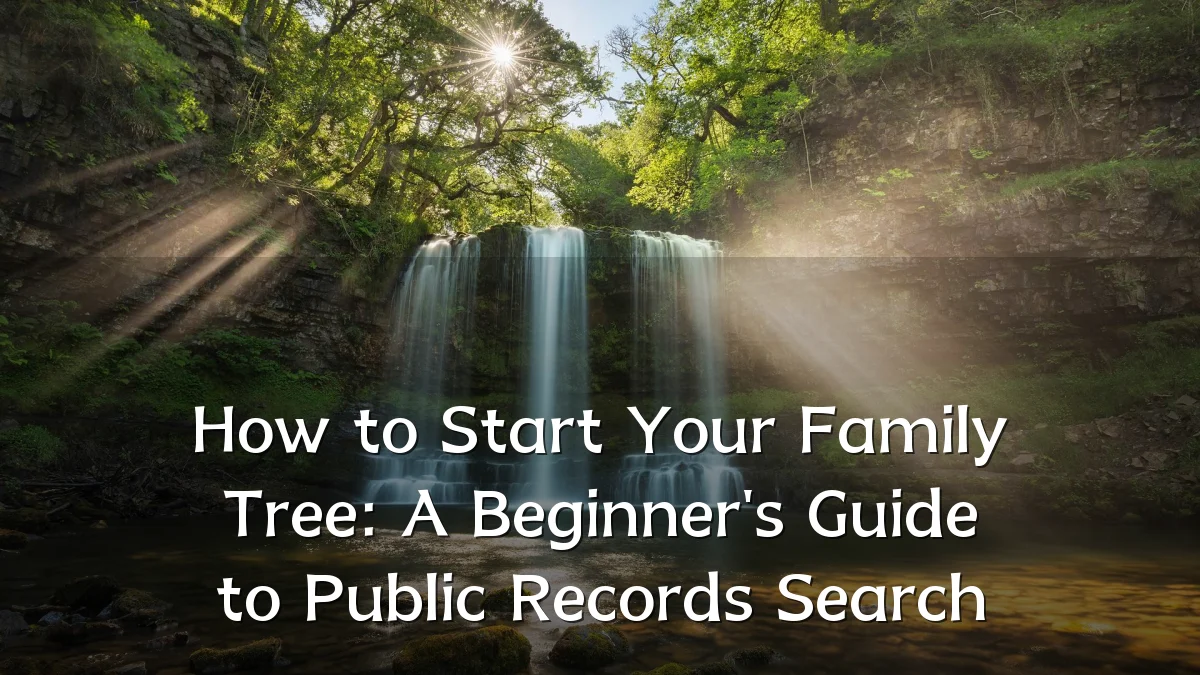 How to Start Your Family Tree: A Beginner's Guide to Public Records Search
