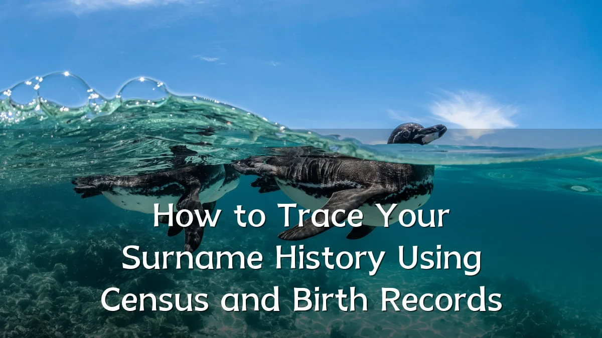 How to Trace Your Surname History Using Census and Birth Records