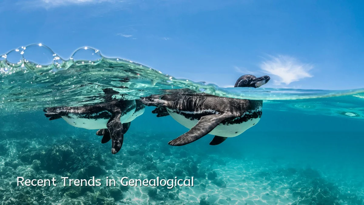 Recent Trends in Genealogical