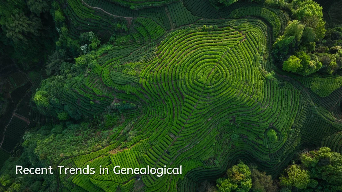 Recent Trends in Genealogical
