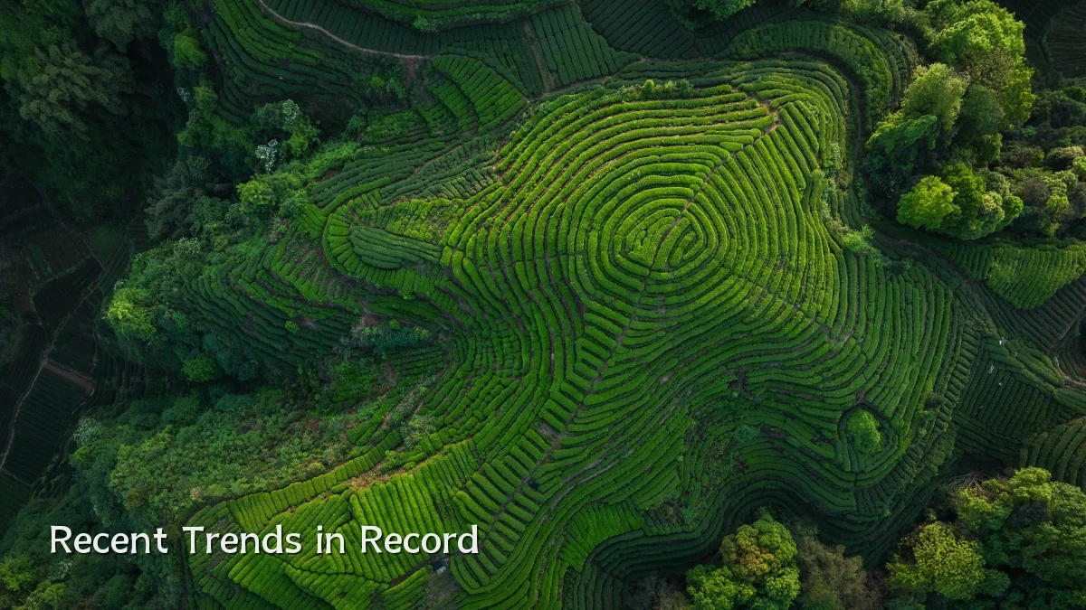 Recent Trends in Record
