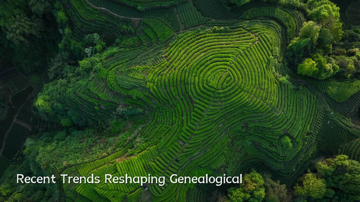 Recent Trends Reshaping Genealogical