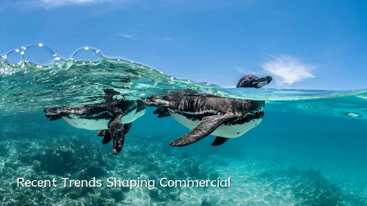 Recent Trends Shaping Commercial