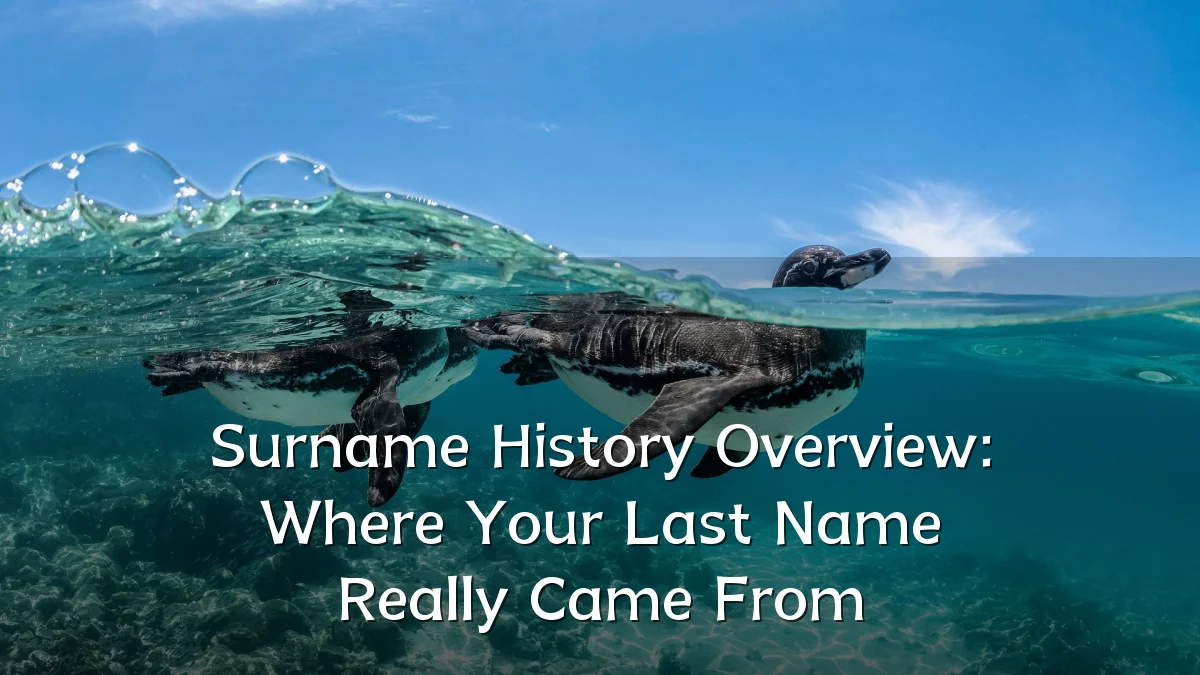 Surname History Overview: Where Your Last Name Really Came From