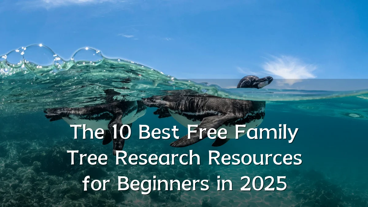The 10 Best Free Family Tree Research Resources for Beginners in 2025
