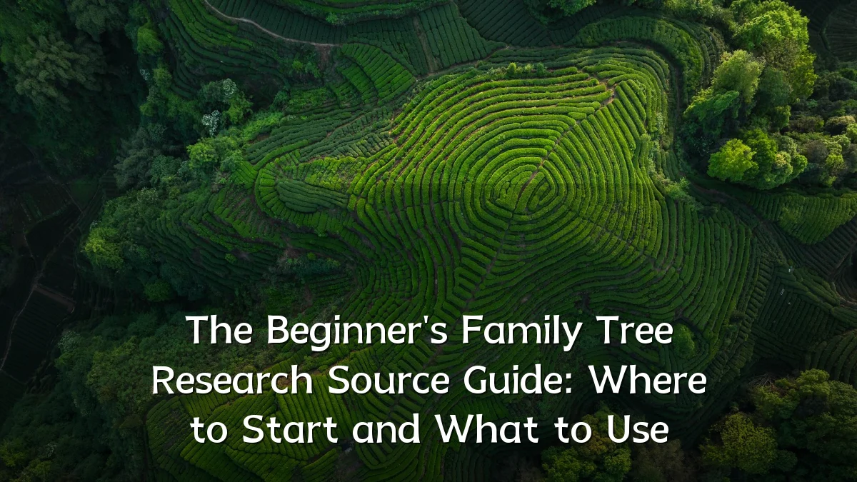 The Beginner's Family Tree Research Source Guide: Where to Start and What to Use