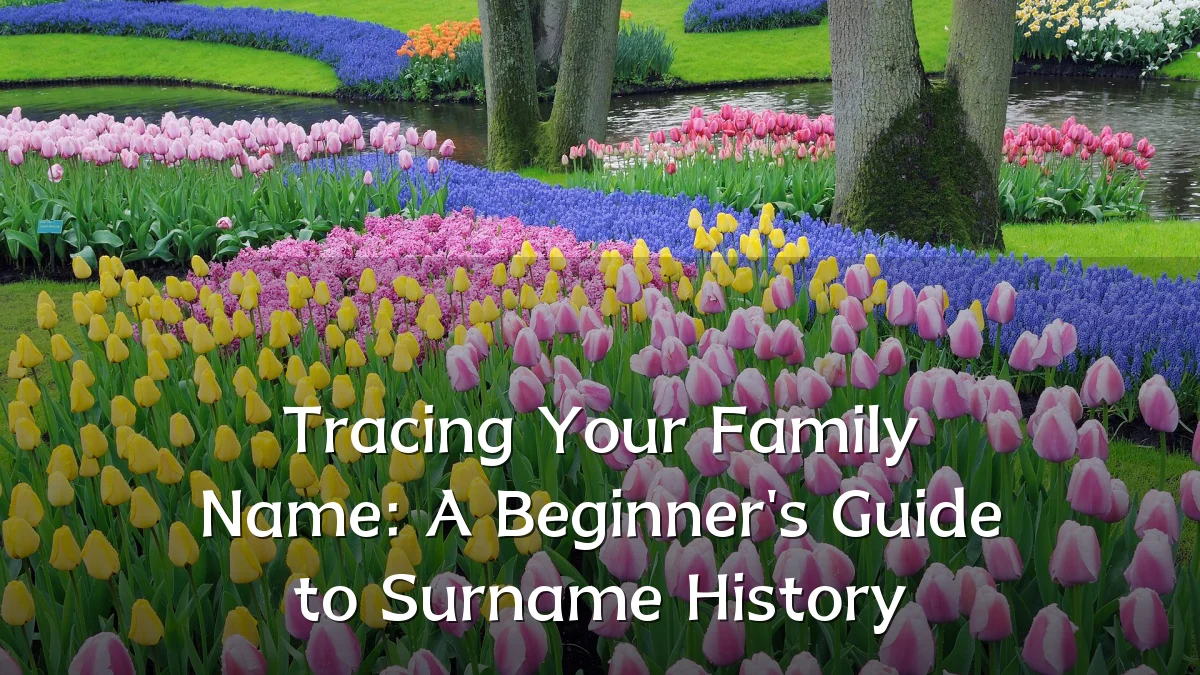 Tracing Your Family Name: A Beginner's Guide to Surname History
