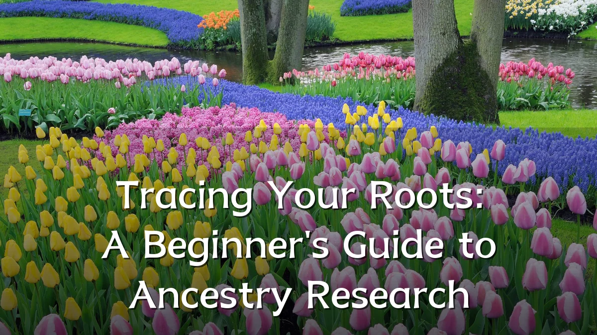 Tracing Your Roots: A Beginner's Guide to Ancestry Research