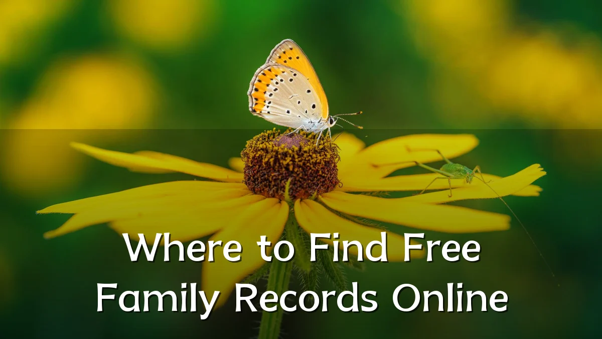 Where to Find Free Family Records Online