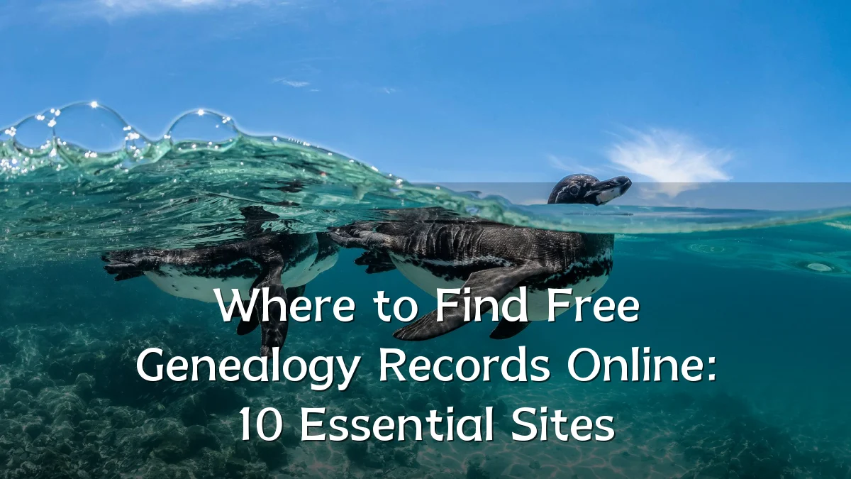 Where to Find Free Genealogy Records Online: 10 Essential Sites